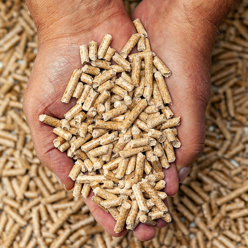 Nahaufnahme einer geöffneten Hand, gefüllt mit Holzpellets als nachhaltigem Heizmaterial.